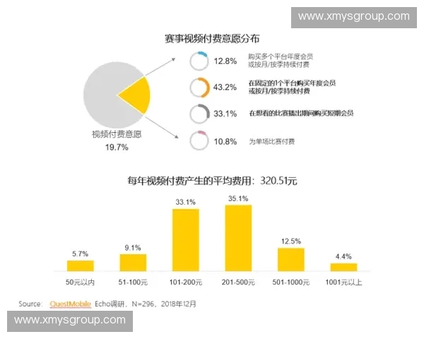 体育赛事观众画像分析：了解观众需求与行为模式的深度洞察