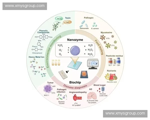 基于技术验证的系统可靠性与性能优化研究方案